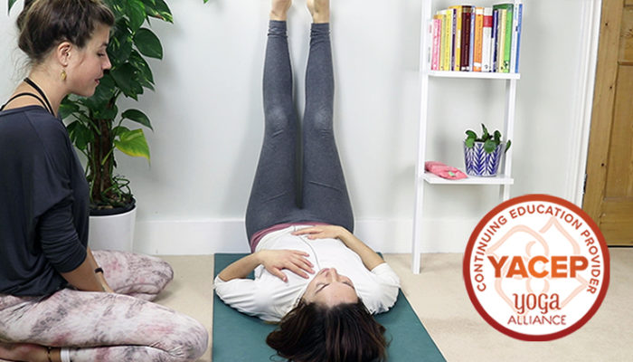 The Art and Business of Teaching Yoga One-to-One Online Course